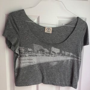 American Eagle Vintage Crop Tee